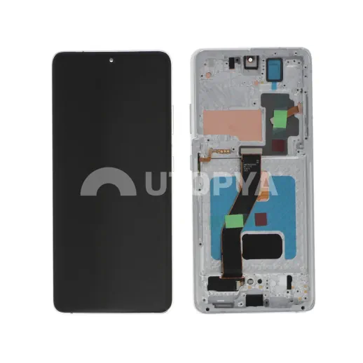 Ecran Complet Argent Galaxy S21 Ultra (G998B) (Soft OLED)