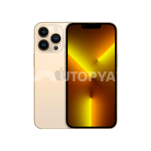 iPhone 13 Pro 128 Go Or (Grade C) (Margin VAT) (Refurb)