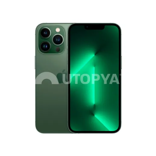 iPhone 13 Pro 128 Go Vert (Grade C) (Margin VAT) (Refurb)