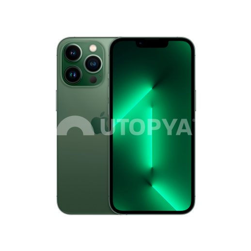 iPhone 13 Pro 256 Go Vert (Grade B) (Margin VAT) (Refurb)