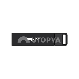 PNY Clé USB-C Elite 64 Go